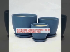 Achetez la meilleure sélection de pots en céramique pour vos plantes à des prix abordables