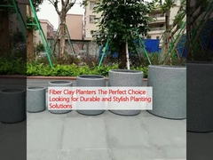 Les planteurs en fibre d'argile sont le choix idéal pour les plantes durables et élégantes