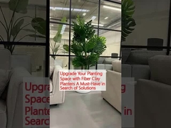 Améliorez votre aire de plantation avec des planteurs en fibre d'argile