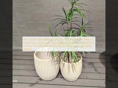 Une paire de pots de fleurs beige clair chic: Des motifs verticaux uniques Planteur en fibre d'argile ronde léger durable à faible entretien vacances Décoration de bureaux de villas Projet d'aménagement paysager de jardins sur le toit
