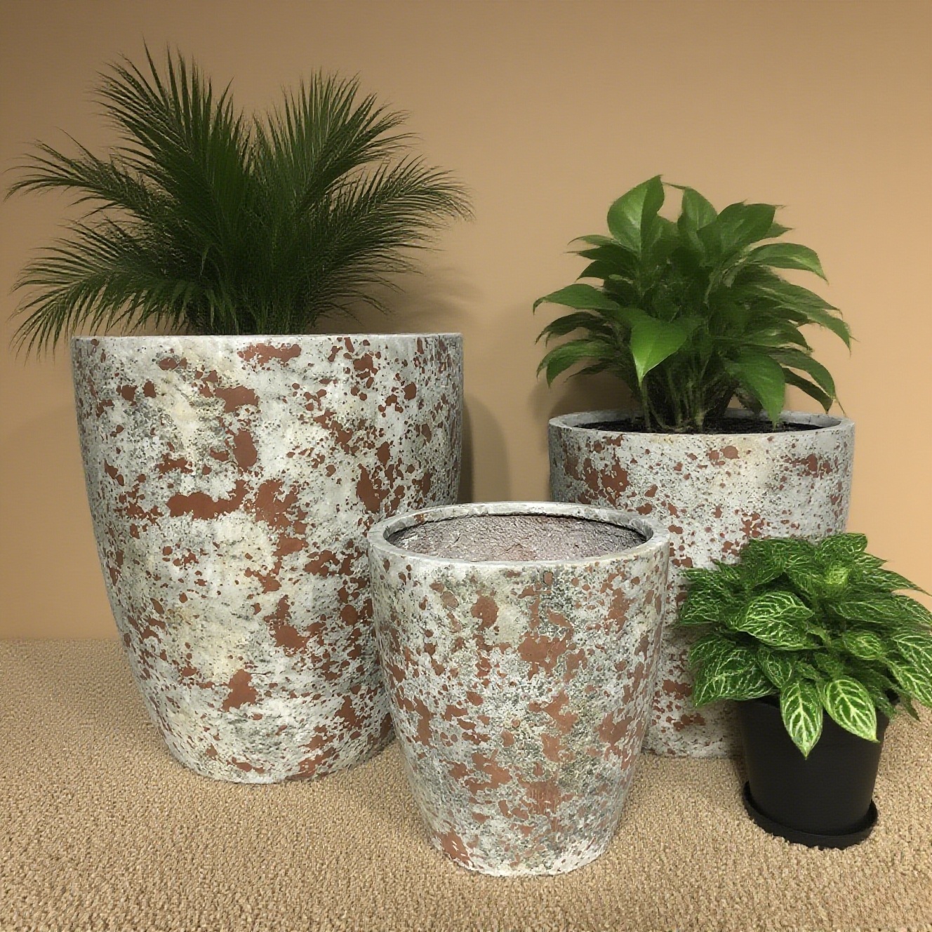 Derniers blogs de l'entreprise sur Des pots de fleurs en ciment.