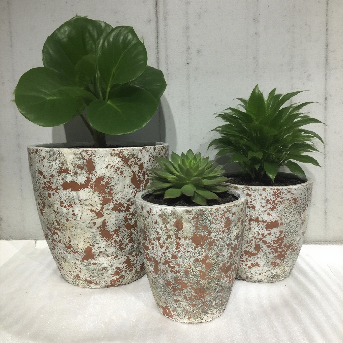 Derniers blogs de l'entreprise sur Des pots de fleurs en ciment.