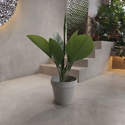 acheter Des pots de jardin en plastique écologique dynamique, imperméables à l'eau 250*175*230MM online manufacture
