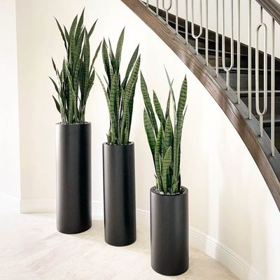 acheter Obtenez les meilleures offres sur des pots de fleurs en fibre de verre durables et élégants pour votre jardin online manufacture