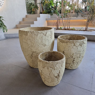 Planteur à la main sculpté à l'ancienne pour les fleurs et les plantes vertes