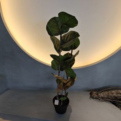 100 cm Arbre de Coccoloba artificiel résistant aux UV