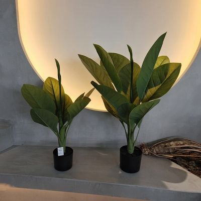 Matériau plastique à longue durée de vie Plantes artificielles 70 cm Arbre Dieffenbachia artificiel