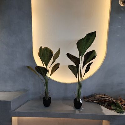 Les plantes artificielles sont la solution parfaite pour les besoins de votre maison et de votre bureau