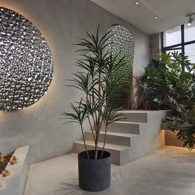 Planteurs ronds en plastique recyclé légers pour planter des semis