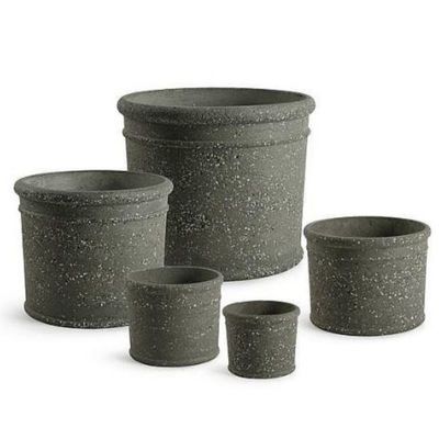 Résistance au gel pour les plantes d'intérieur et d'extérieur