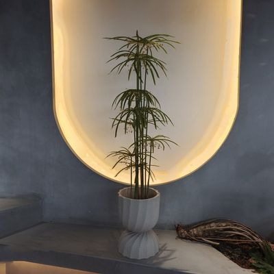 Plastique résistant aux UV Faux plantes Artificiel Graptopetalum Arbre