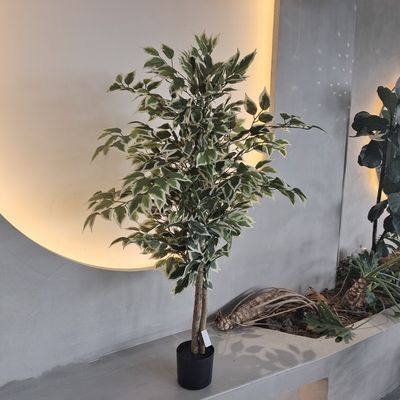 Faux végétaux en plastique hypoallergénique résistant aux insectes 120 cm