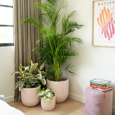 Transformez votre jardin avec des pots de fleurs en fibre de verre légers et durables