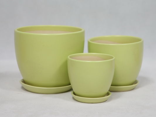 Des pots en céramique pour vos plantes Choisissez parmi un large choix de motifs et de couleurs