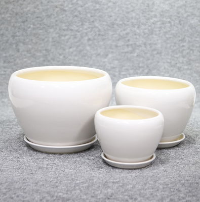 Des pots en céramique uniques pour un jardin distinctif et accrocheur