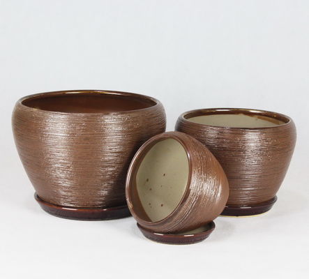 Des pots en céramique faciles à nettoyer pour les plantes succulentes et les cactus de différentes tailles