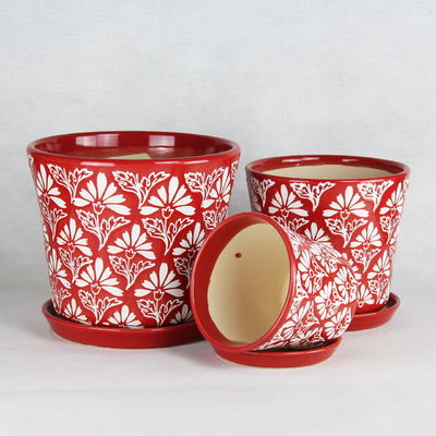 Des pots en céramique magnifiques et fonctionnels pour votre jardin et votre maison