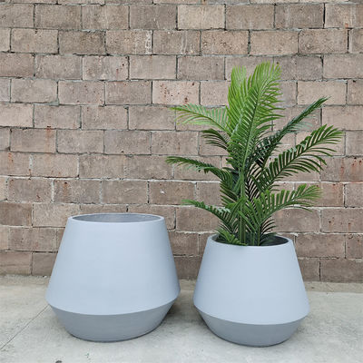 Une belle plante en fibre d'argile pour votre collection de verdure